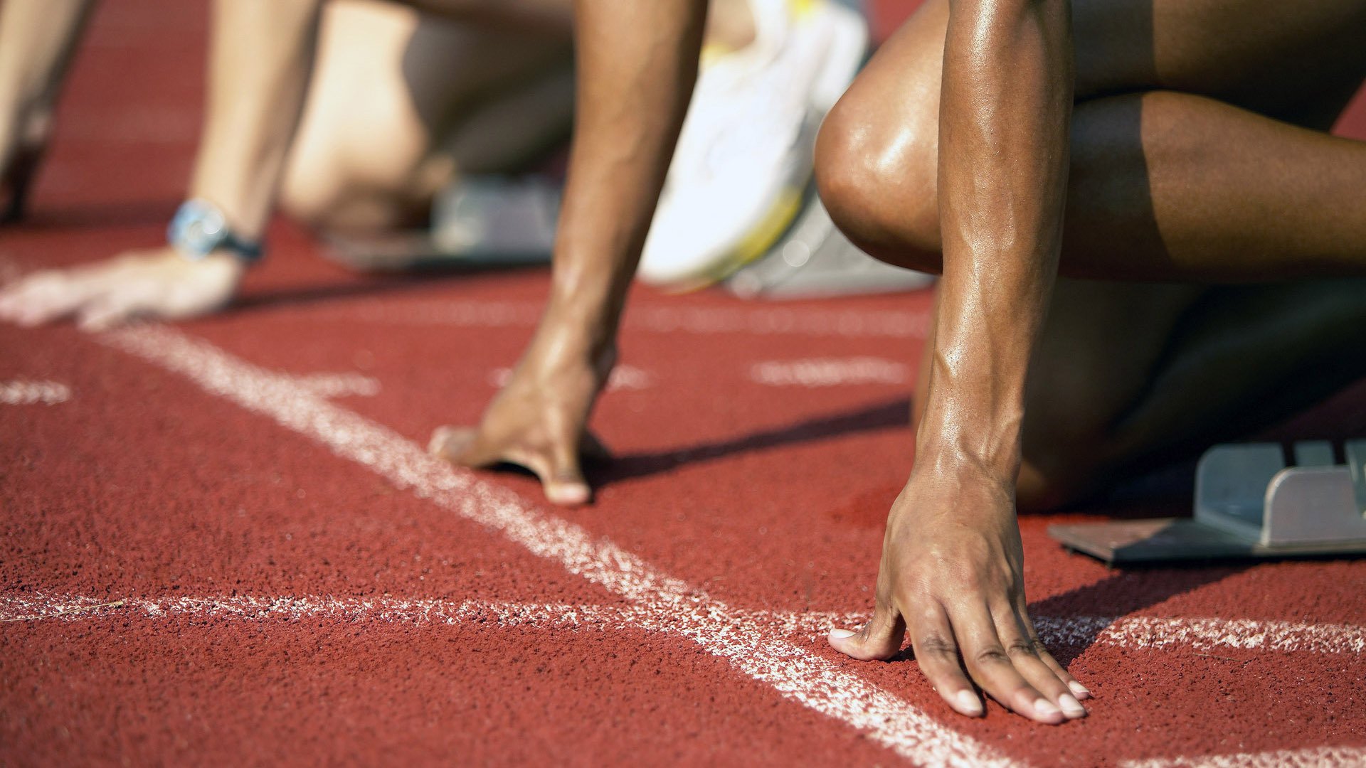 “2025世界游泳锦标赛：水上芭蕾展示别样优雅与力量”