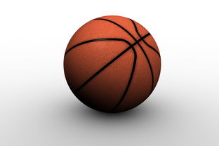 中国篮球职业俱乐部青训人才培养路径探索，篮球青训队招聘条件