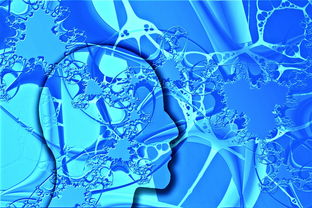 中国足球不同战术体系试验数据，国足战术风格